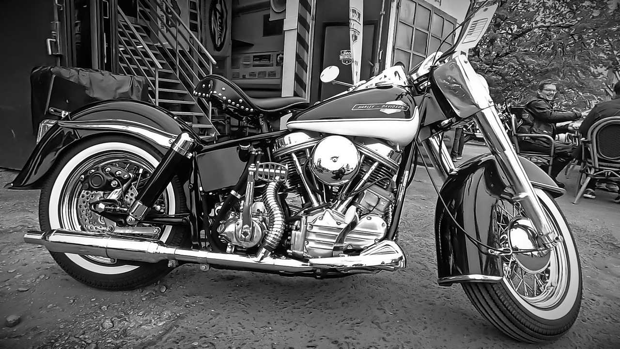 harley davidson, motorcycle, freedom, motor, usa, harley davidson, harley davidson, harley davidson, harley davidson, harley davidson